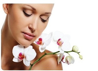 Parfüm, kozmetika kategória